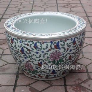 紅龍魚飼養(yǎng)技巧視頻教程大全集（紅龍魚飼養(yǎng)技巧視頻教程大全集下載）