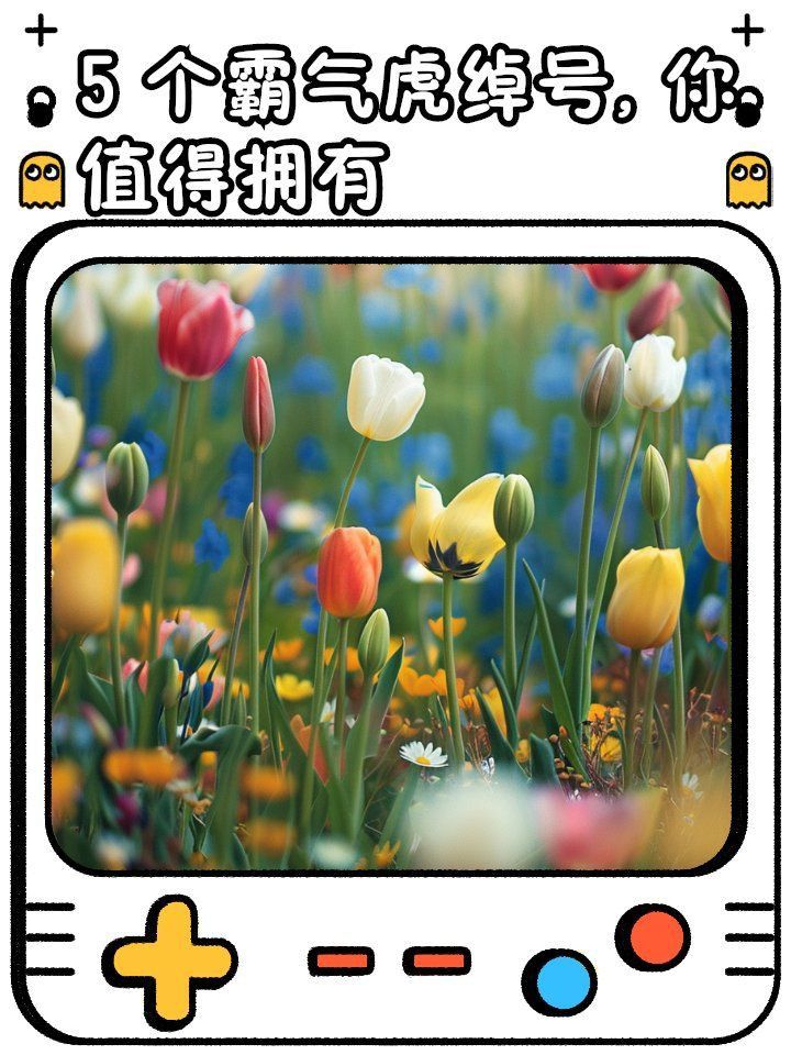 老虎最霸氣名字