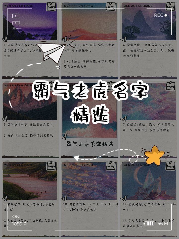 老虎最霸氣名字