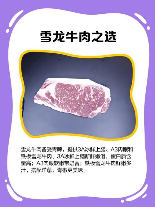 雪龍的價格范圍是多少