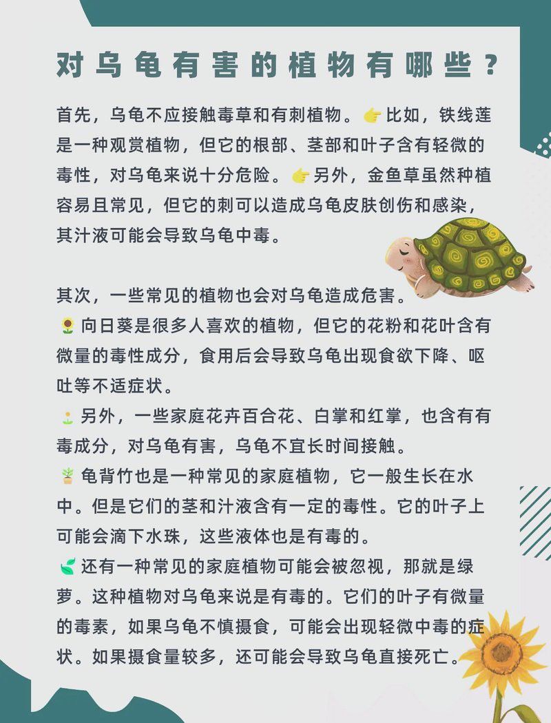 哪些植物不適合與假龍龜混養？ 哪些植物不適合與假龍龜混養？ 龍魚百科 第3張