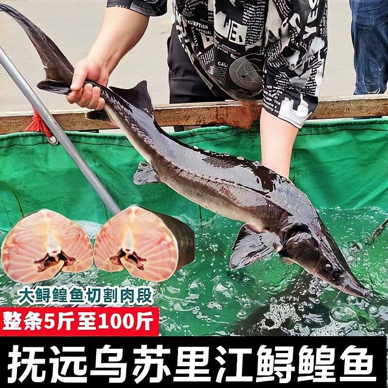 鱘龍魚 好吃嗎