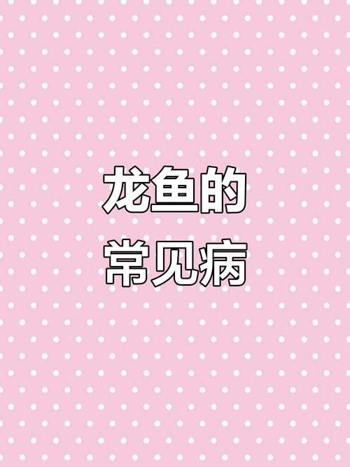 金龍魚嘴里鼓鼓的 金龍魚嘴里鼓鼓的 龍魚百科 第27張