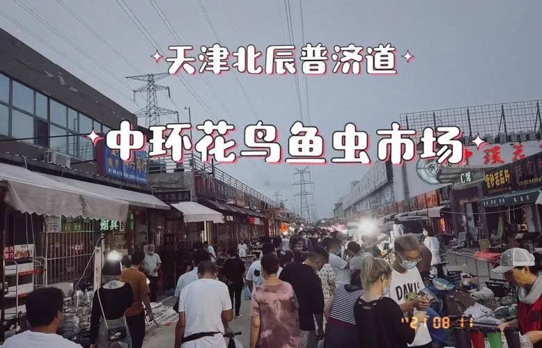 天津哪里賣龍魚比較好的地方