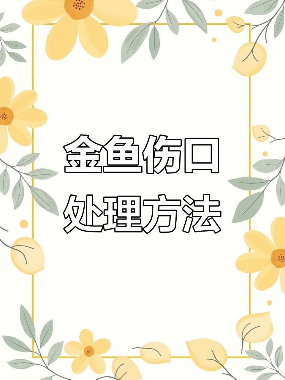 魚鰓蓋損壞后如何緊急處理？