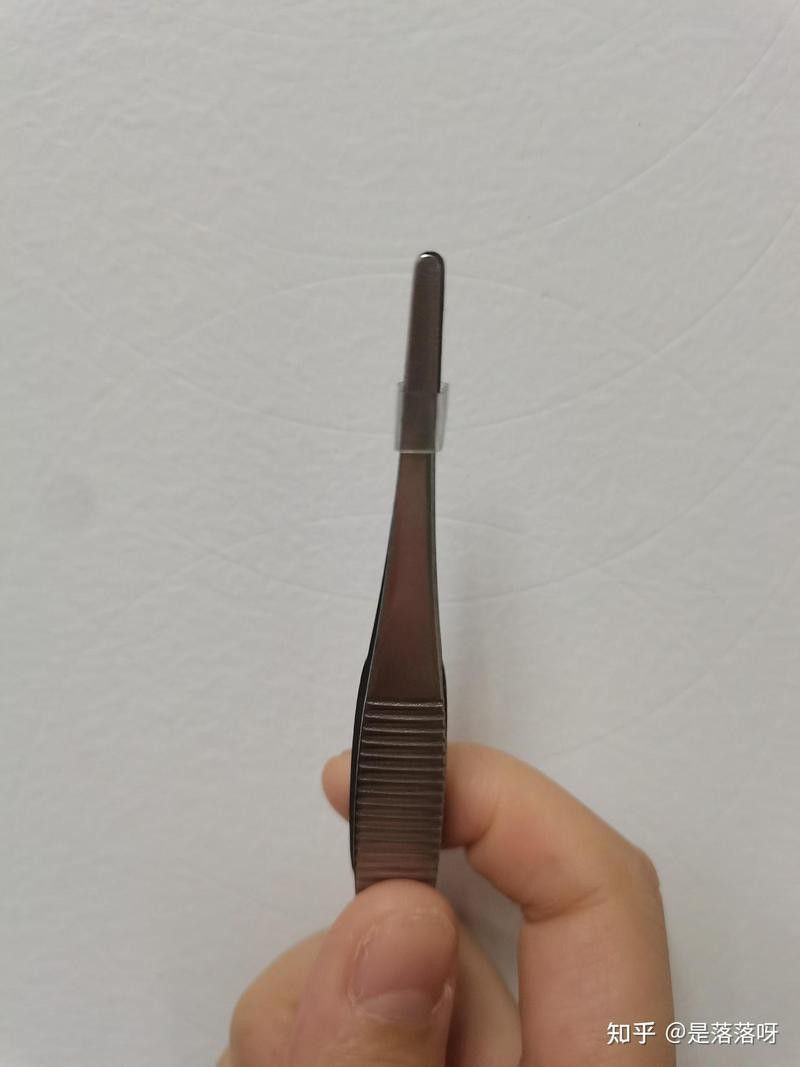 六角龍多久消毒一次缸？