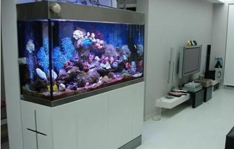 客廳魚缸的擺放位置