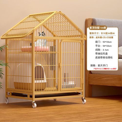 如何預防龍貓的寄生蟲感染？ 如何預防龍貓的寄生蟲感染？ 龍魚百科 第5張