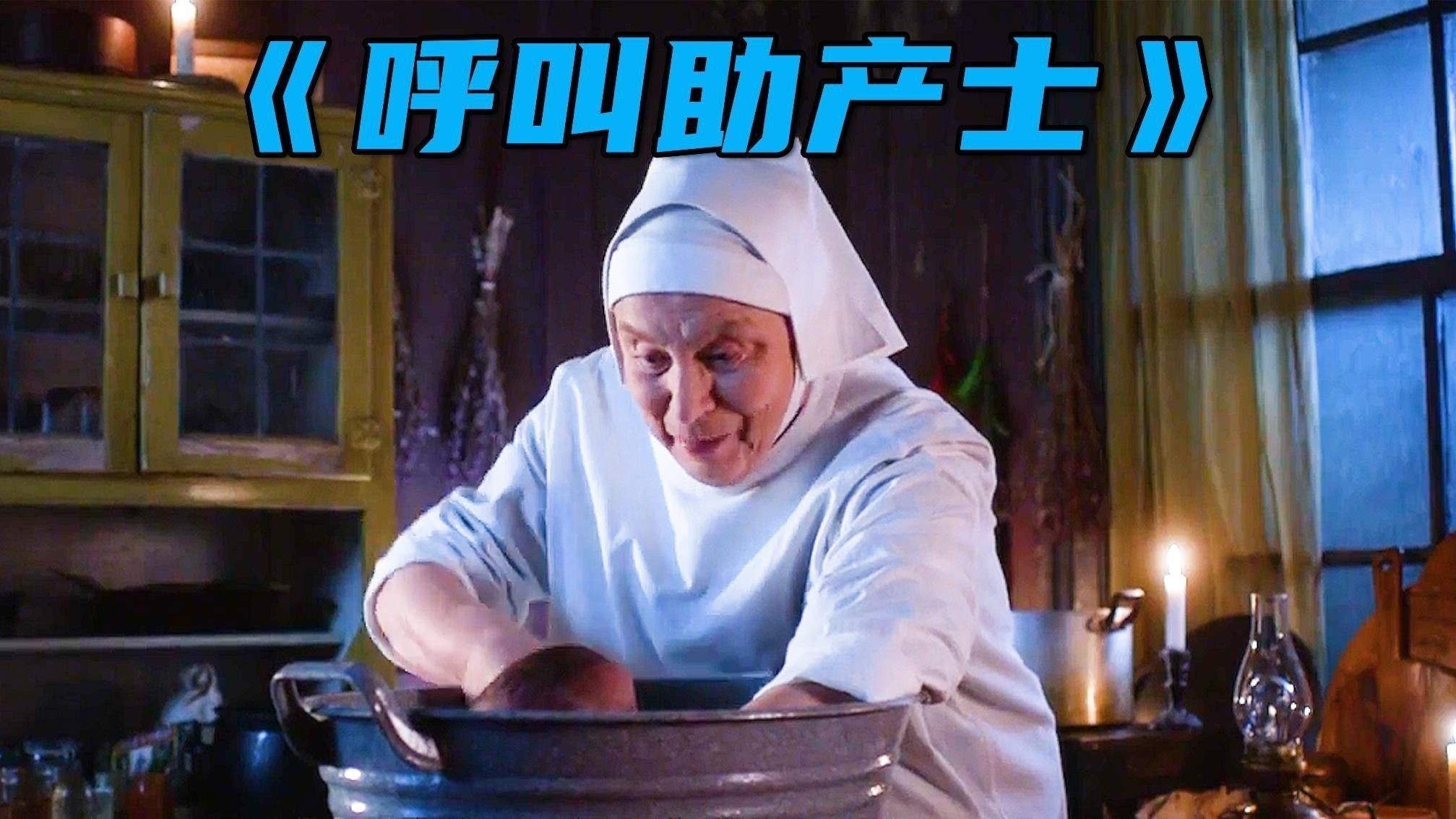 如何預防龍貓的寄生蟲感染？ 如何預防龍貓的寄生蟲感染？ 龍魚百科 第13張