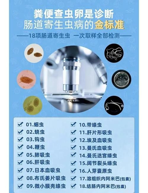 如何預防龍貓的寄生蟲感染？ 如何預防龍貓的寄生蟲感染？ 龍魚百科 第19張