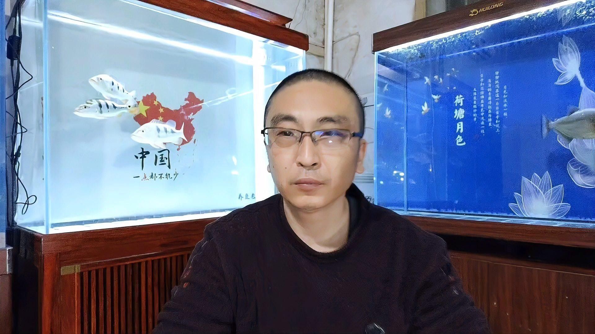 如何判斷龍睛金魚是否健康？