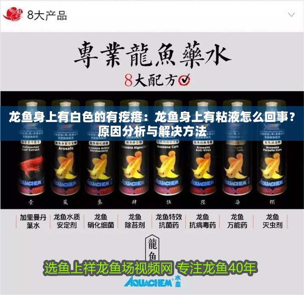 龍魚身上有白色的有疙瘩：龍魚身上有粘液怎么回事？原因分析與解決方法
