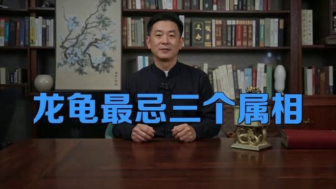 佩戴龍龜有哪些禁忌人群 佩戴龍龜有哪些禁忌人群 龍魚百科 第1張