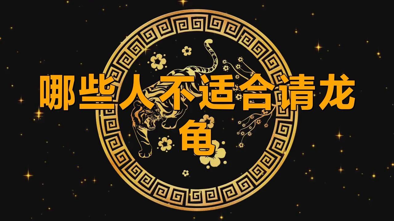 佩戴龍龜有哪些禁忌人群 佩戴龍龜有哪些禁忌人群 龍魚百科 第4張