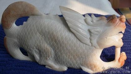 龍魚交易平臺概述（龍魚交易平臺是一個專門用于買賣二手龍魚的平臺）
