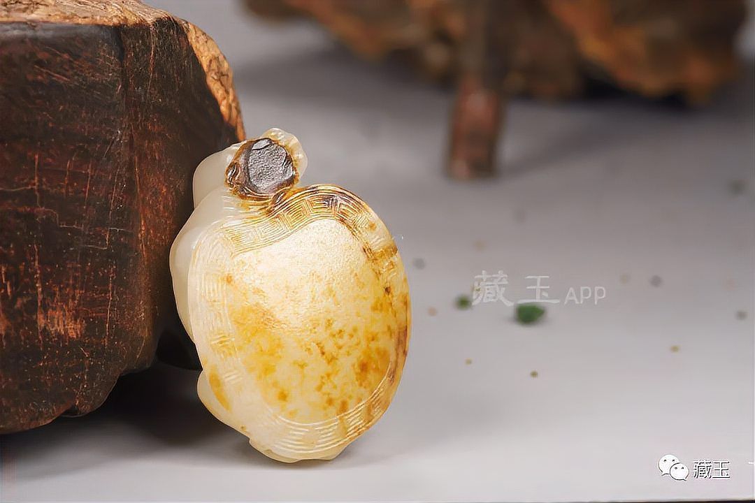如何鑒別龍龜圖片的真偽？ 如何鑒別龍龜圖片的真偽？ 龍魚百科 第3張