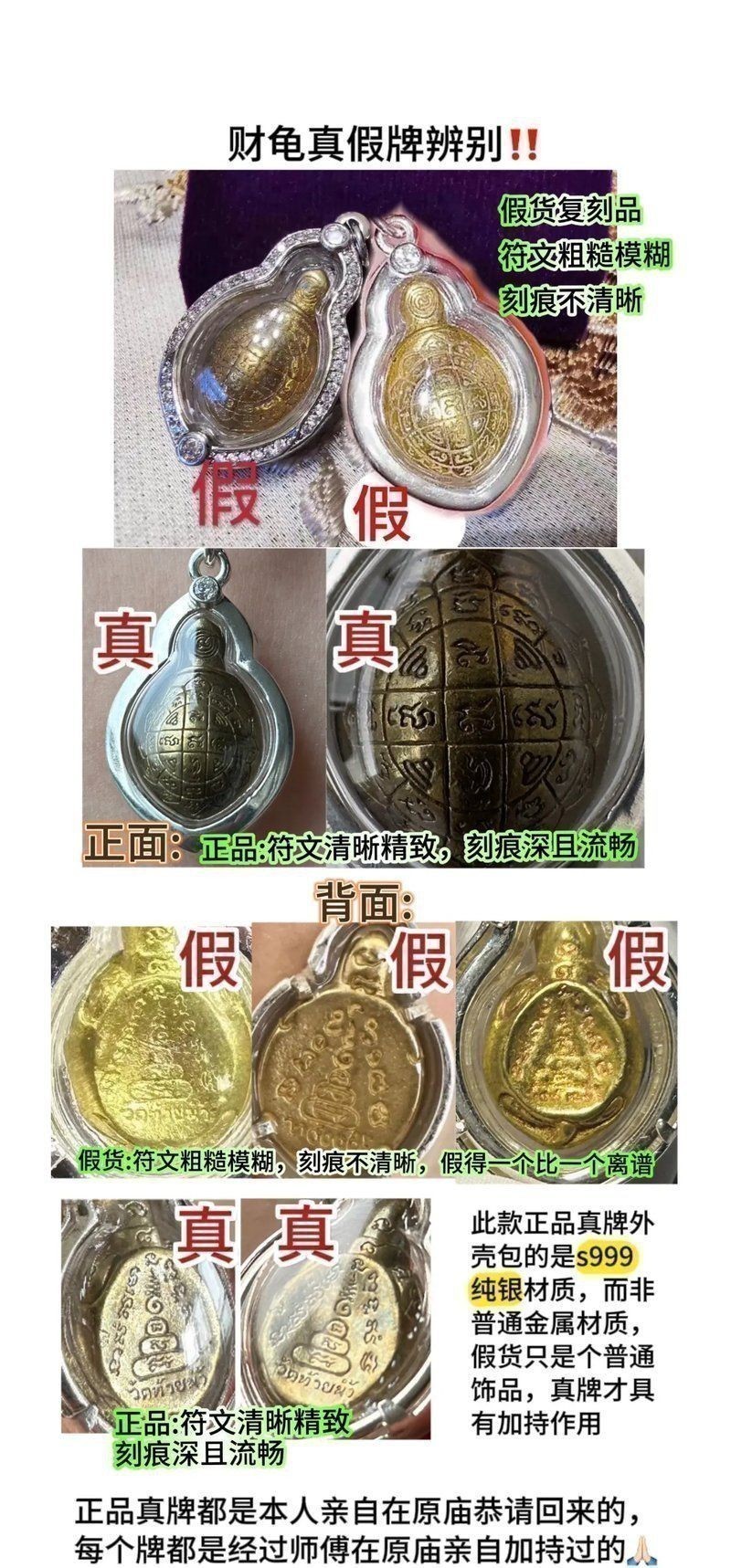 如何鑒別龍龜圖片的真偽？ 如何鑒別龍龜圖片的真偽？ 龍魚百科 第1張