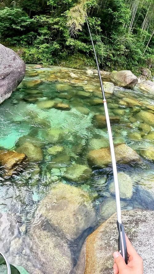 龍魚哪個漁場的最好釣