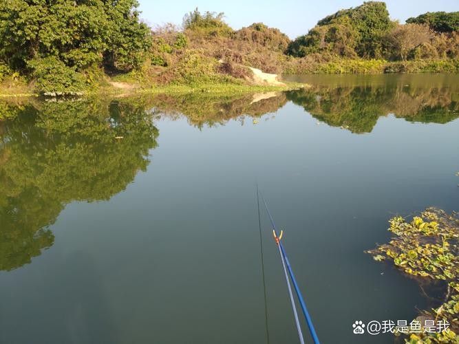 龍魚哪個漁場的最好釣