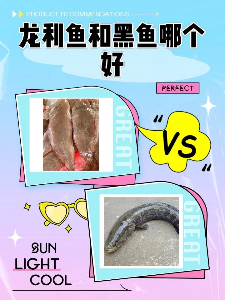 哪種類型的龍魚發色燈效果最好呢：揭秘龍魚發色燈的奧秘，哪種類型的效果最佳？