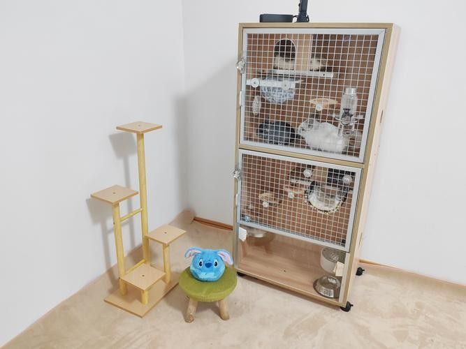龍貓雙養需要哪些玩具？