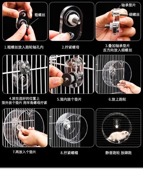 龍貓雙養需要哪些玩具？