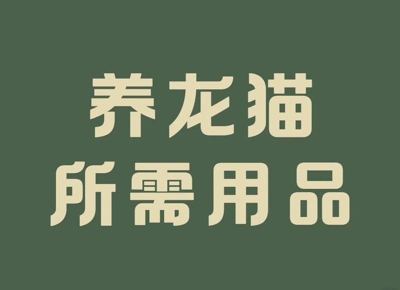 龍貓雙養需要哪些玩具？
