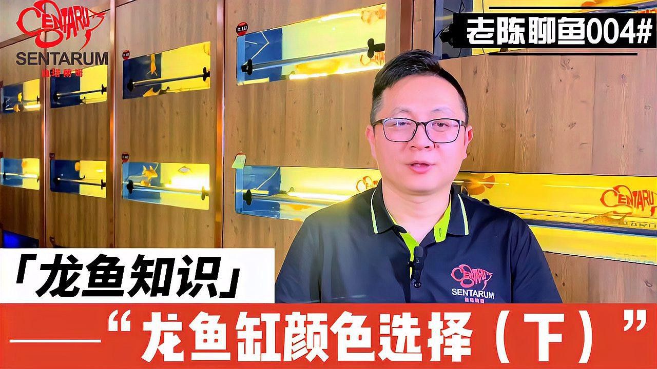 紅龍魚缸背景顏色如何調整？