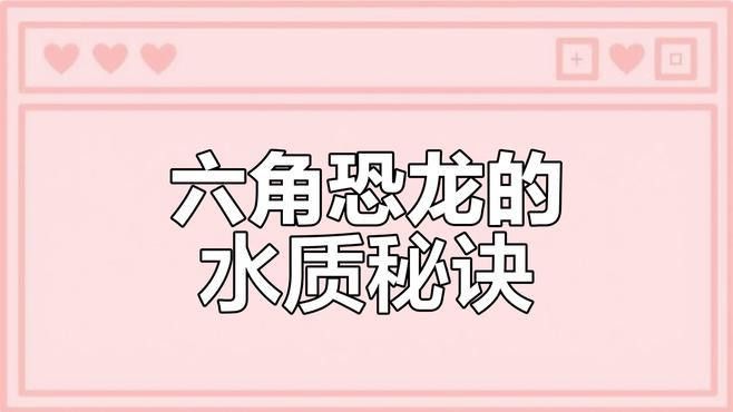 如何判斷水質(zhì)是否適合六角恐龍