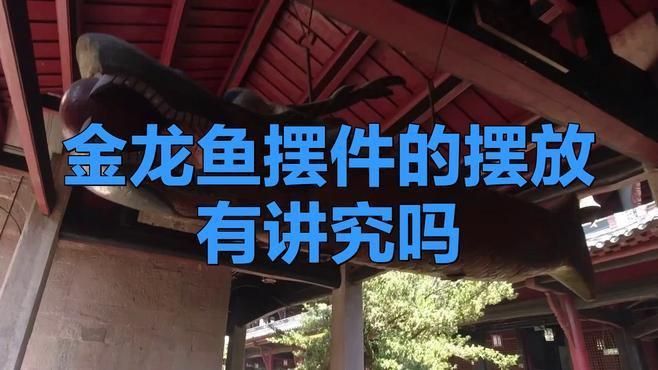 金龍魚與寶石搭配禁忌 金龍魚與寶石搭配禁忌 龍魚百科 第1張