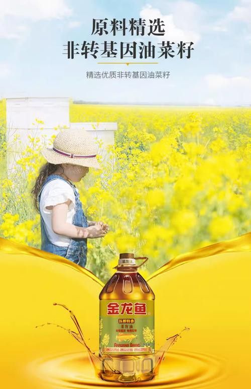 金龍魚(yú)廣告圖片大全集