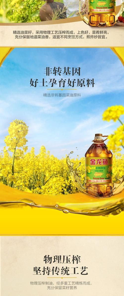 金龍魚(yú)廣告圖片大全集