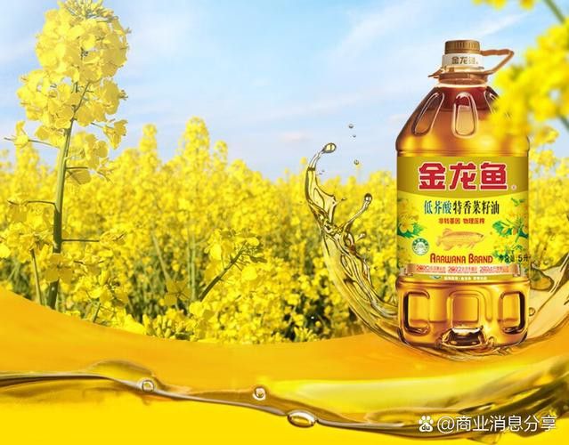 金龍魚(yú)廣告圖片大全集