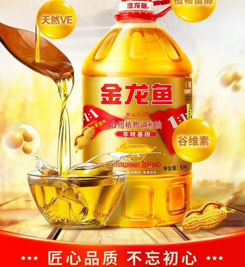 金龍魚(yú)廣告圖片大全集