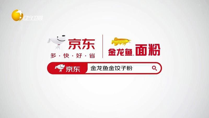 金龍魚(yú)廣告圖片大全集