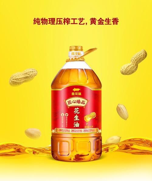 金龍魚(yú)廣告圖片大全集