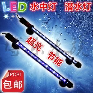 龍魚照明燈：龍魚照明燈怎么選
