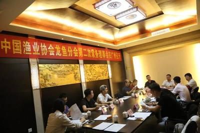 紅龍魚的價格及圖片及價格表大全圖（紅龍魚的價格及圖片及價格表大全圖解）