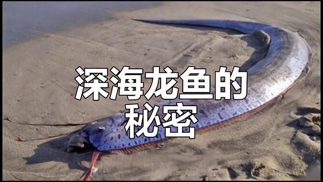 深海龍魚有哪些捕食技巧？