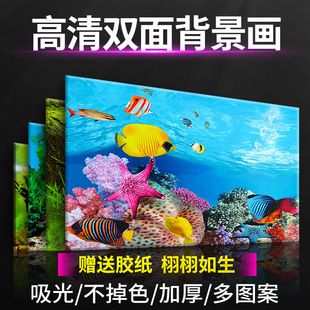冠軍紅龍魚（冠軍紅龍魚是什么？）
