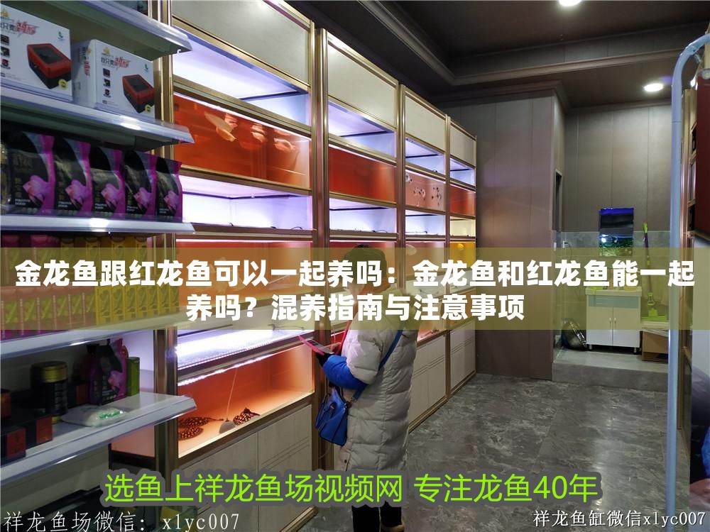 金龍魚跟紅龍魚可以一起養嗎：金龍魚和紅龍魚能一起養嗎？混養指南與注意事項