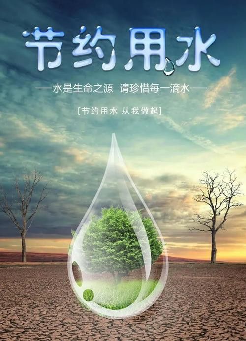 哪里可以找到更多龍頭圖片？