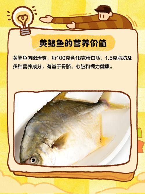 黃鰭鯧和龍魚混養注意事項有哪些圖片