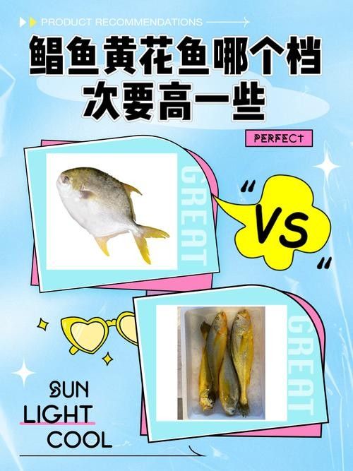 黃鰭鯧和龍魚混養注意事項有哪些圖片
