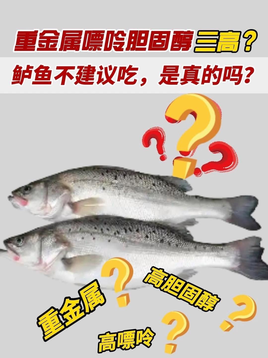 鱸魚為什么不建議吃