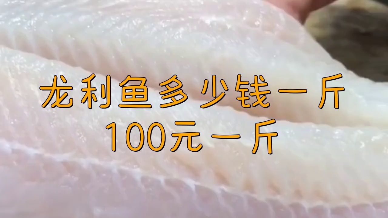 龍利魚的市場價格是多少？