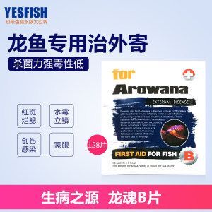 龍魚細菌感染用什么藥好（龍魚細菌感染用什么藥好呢）