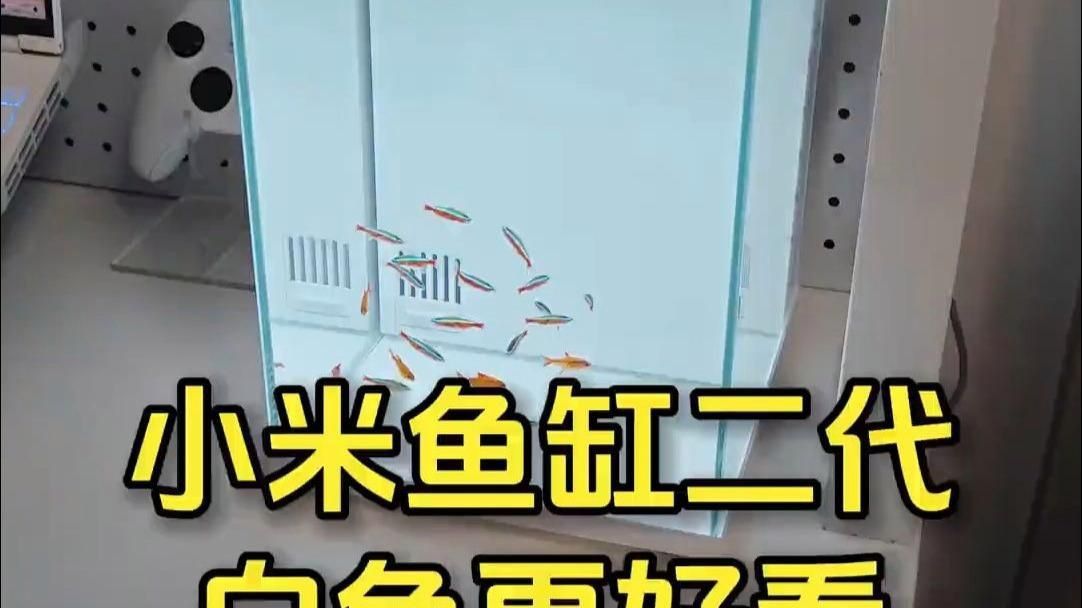 如何選擇合適的魚缸顏色 如何選擇合適的魚缸顏色 龍魚百科 第6張