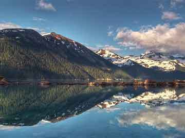 雷龍魚哪種漂亮（雷龍魚飼養技巧分享）