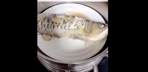 20厘米金龍魚喂什么好（20厘米以上的金龍魚可以投喂較大型的魚、蝦、泥鰍等活餌）
